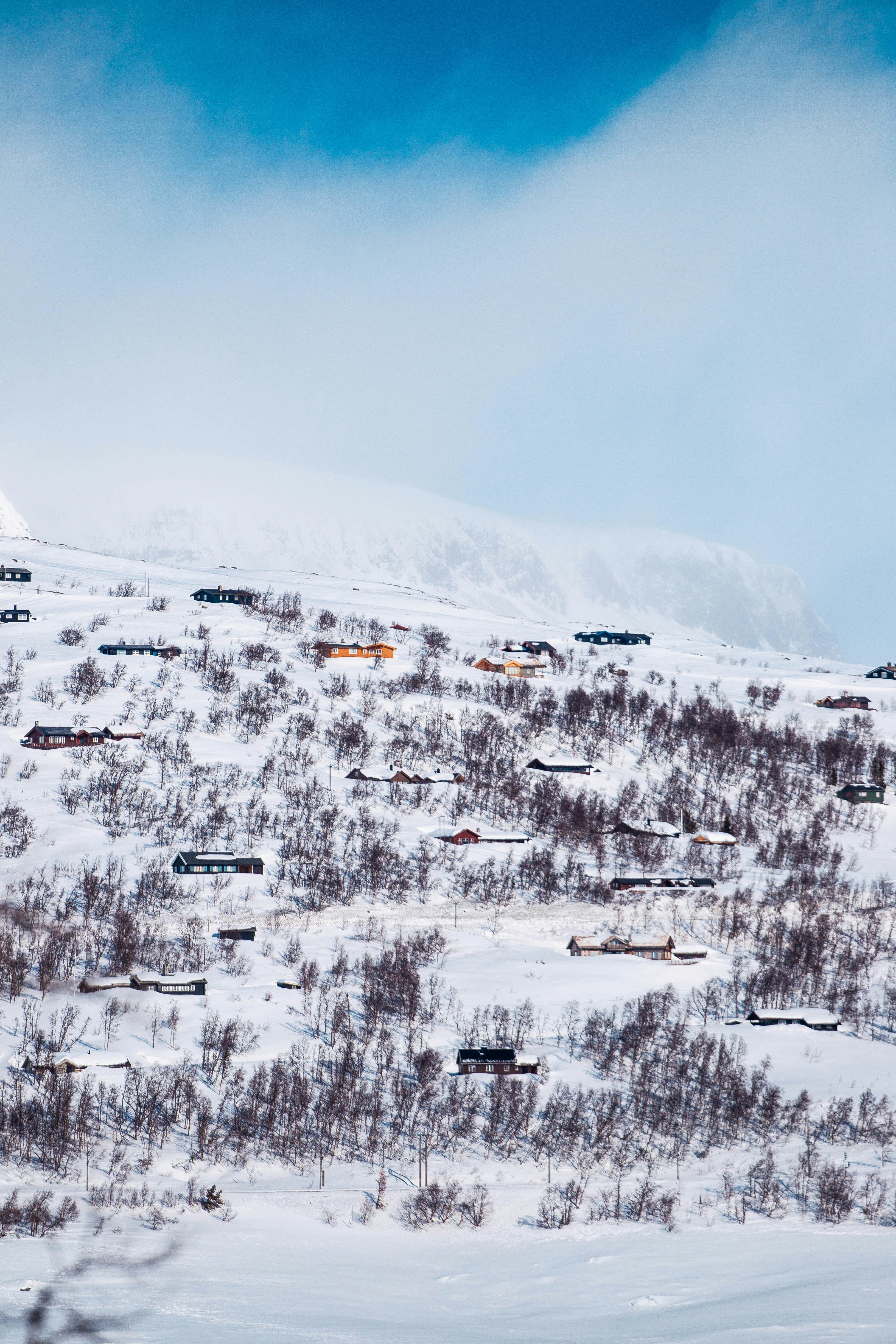 Snow-covered cabins in Norwegian mountains, Geilo